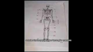 Download lagu Sarah Adelia dkk