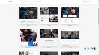 Celebrity Monday - Creative Multi-Purpose WordPress Theme     Devyn Pancras Wealth