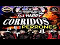 Corridos Perrones Mix (DJ Harry - Magix Sound Records)