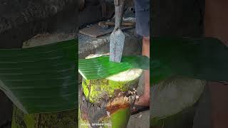 tombak berburu tradisional 🎇 udah jelek di sepuh di pohon pisang #blacksmithing