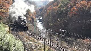 20211119上越線試8733~8734レC6120+12系5両+EF641053