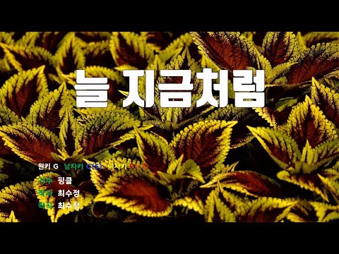[은성 반주기] 늘지금처럼 - 핑클