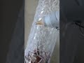 ¡ No Lo Tires! Restaura un Jarrón de Cristal Roto con Silicona y Pintura Dorada ¡ Resultado Mágico!