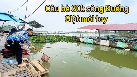 Sông Đuống đoạn Thuận Thành BN, bè 30k cá nhiều..