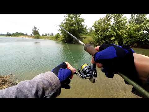 Kot FishingTV vs მონსტრი ქაშაპები (გიგანტი ბომბორა ქაშაპები წნულს წყვიტავენ )