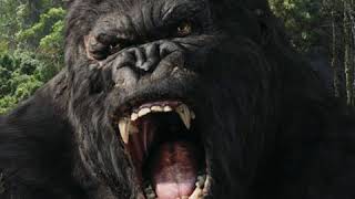 Silverback Gorilla Roar 🦍 🔊