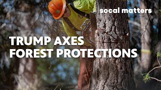 4 Million Acres of Forests Could Lose Protection | SoCal Matters