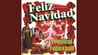 Video thumbnail of "Tropical Tepexpan - Navidad Guadalupana"