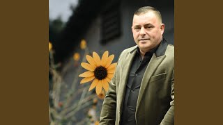 Dimineata se numara banii
