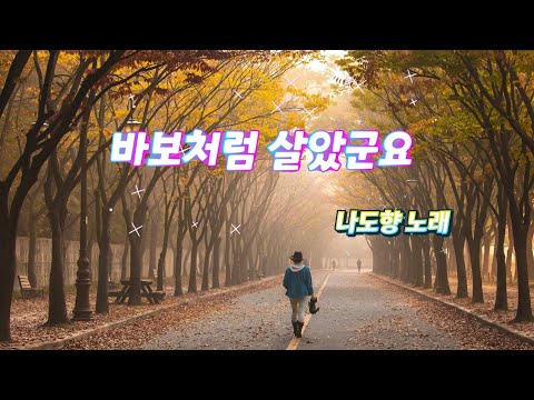 난 참 "바보처럼 살았군요"(나도향 노래)
