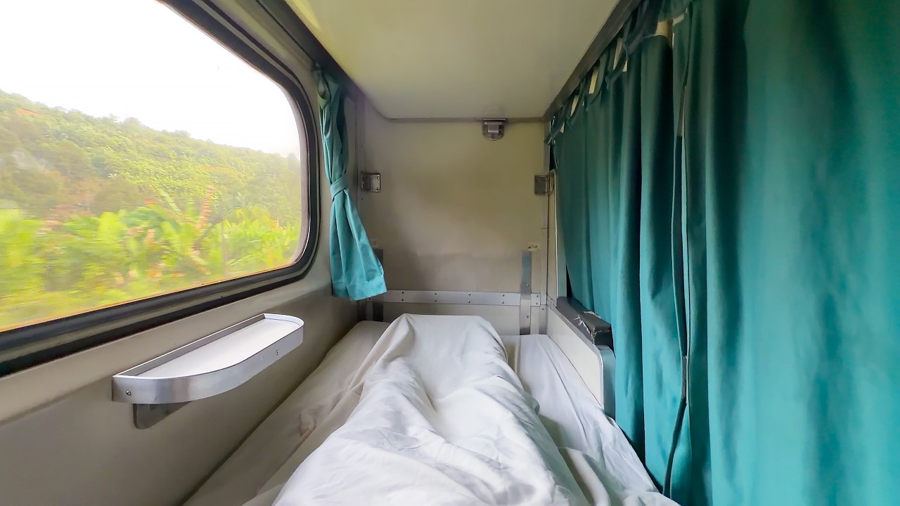 $14 Jungle Sleeper Train