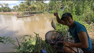 CÂU CÁ BỜ SÔNG MIỀN TÂY VỚI MỒI CÂU CÁ HUYNH KHOA