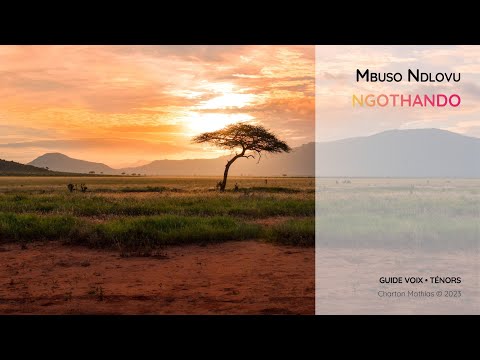 Ndlovu, Mbuso | Ngothando | Guide voix Ténors