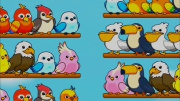 Bird Sort Puzzle 🐦🧩 Game / Gameplay iOS Android 