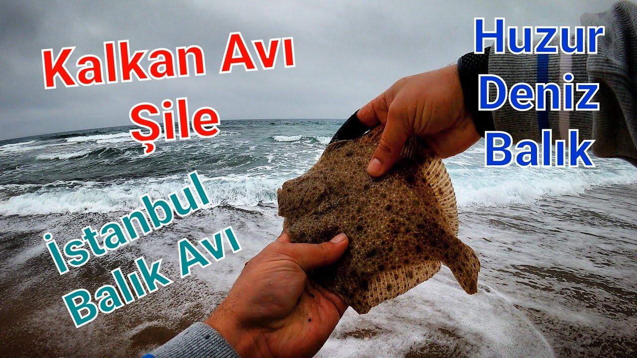 Kalkan Avı Şile İstanbul - Bu Sefer Kalabalık Spin Meralarından Kaçıp Huzura Ulaştım