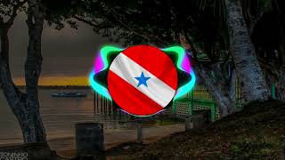 BANDA 007 BUFALO DO MARAJO MARCANTE