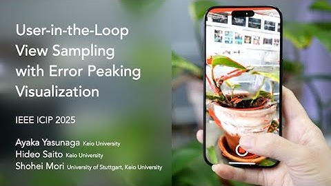 [IEEE ICIP 2025] User-in-the-Loop View Sampling with Error Peaking Visualization
