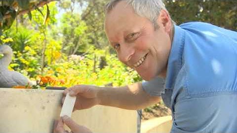 The Garden Gurus - Dulux Weathershield Render Refresh