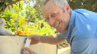 The Garden Gurus - Dulux Weathershield Render Refresh
