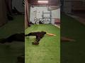 Scorpion - Exercise Demonstration