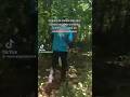#funny #bosque #selva #musica #memes