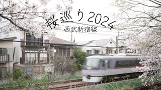 【4K】桜めぐり2024　西武新宿線