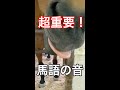 馬の気持ちがわかるモグペロの音【乗馬・馬術】Good body language sound of horse【HorseCommunicationJapan】