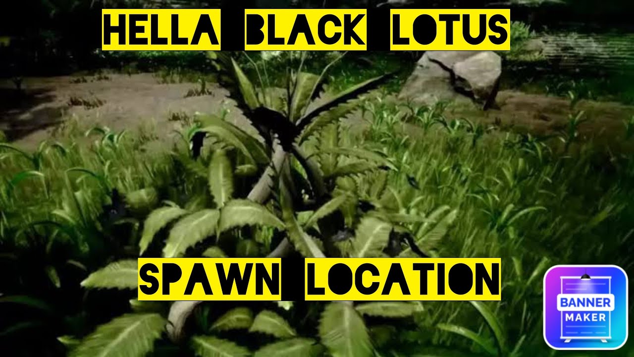 Where to get black lotus conan exiles age of war ps4/ps5