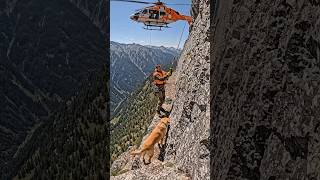 Dog Stranded on Mountain Ledge — Helicopter Rescue Reunites Him With His Owner ❤️🚁