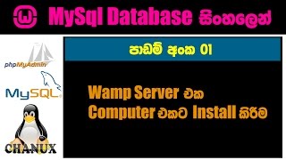 Sinhala mysql tutorial 01 - How to install mysql wamp phpmyadmin and fix issues by Chanux