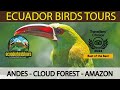 Best Birding in Ecuador by Ecuador Birds Tours