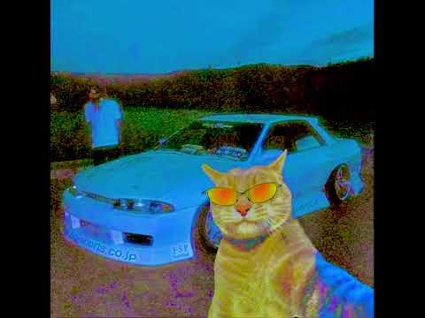 Rally funk - SLOWYMANE (slowed and reverb)