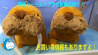 [Ise Sea Shop] Introducing the usual new products! That stuffed animal at a New Year's price ( ﾟД...