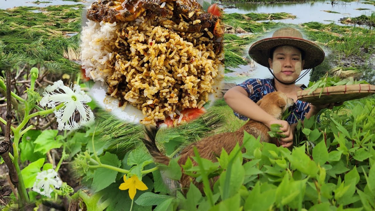 လှေလှော်ပြီးချဥ်ပေါင်ခင်းထဲအရွက်ခူးမယ် ငါးချဥ်ပေါင်ဟင်းလေးနဲ့နားမူထမင်းမြိန်မယ်လေ😋🥰