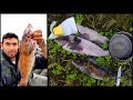 FINAL Day CATCH AND COOK!! Blackberry Butter Fish **SOLO 1,600 Mile Fishing Road Trip**