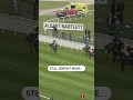 HOW COOL WAS THIS RIDE? 🤯👏 #animals #animalshorts #horseracing #horse #horses #horseshorts