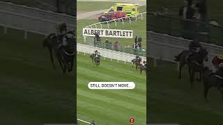 HOW COOL WAS THIS RIDE? 🤯👏 #animals #animalshorts #horseracing #horse #horses #horseshorts
