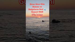 Sakinleştirici Video