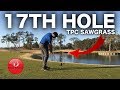 THE SUPERB 17TH HOLE - TPC SAWGRASS!