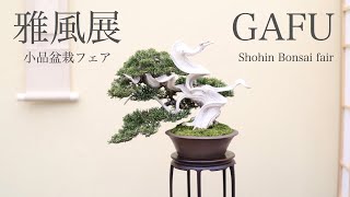 雅風展 第49回 雅風展のご案内 - 公益社団法人全日本小品盆栽協会