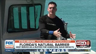NOAA Scientists Restore Coral Reefs To Strengthen Natural Hurricane Defenses