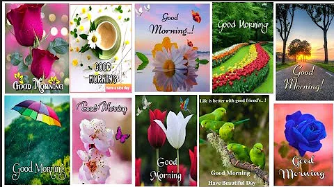 😊50+Good Morning💕🦋Nature,Flower,Bird Images, Wallpaper,Dp,Photos,Pictures/Good Morning Status,Wishes - DayDayNews