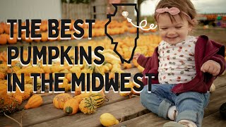 PICKING PUMPKINS WITH THE CAPTAIN! - Captain Jacks Pumpkin Patch, Marengo IL