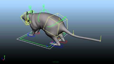 Rat rig - GA, Jessica Molloy, Level 5.