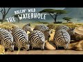 ROLLIN' SAFARI - 'The Waterhole' - Official Trailer FMX 2013