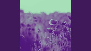 Understated Music for Intense Imagination