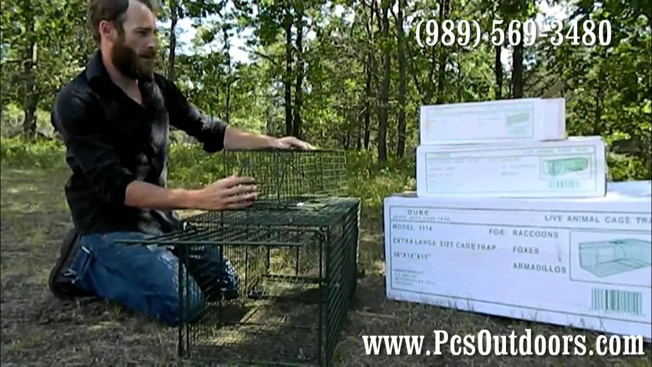 Duke Live Traps. How to Set Duke Live Cage Traps! Duke Model 1100, 1105, and 1114! YouTube