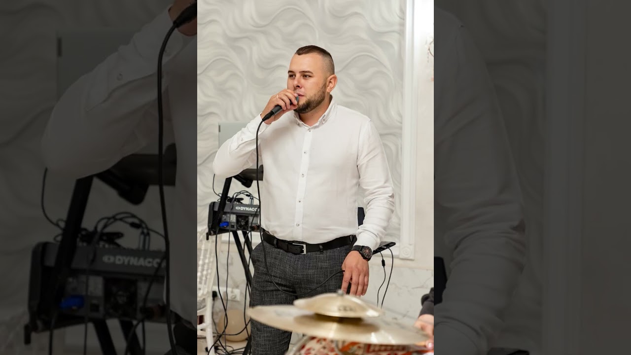 Dumitru Stancă- Muzica de petrecere 