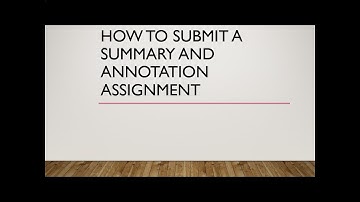 Video Summary and Annotation Assignment