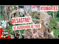 LLEGO DE VACACIONES Y ME ENCUENTRO CON ESTO! #TOMARTES EP. 25